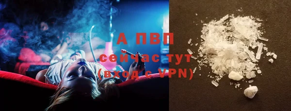 крисы Алексин