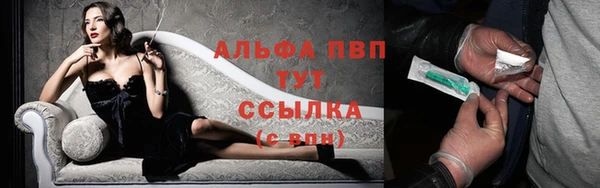крисы Алексин